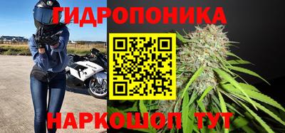гидропоника Пугачёв