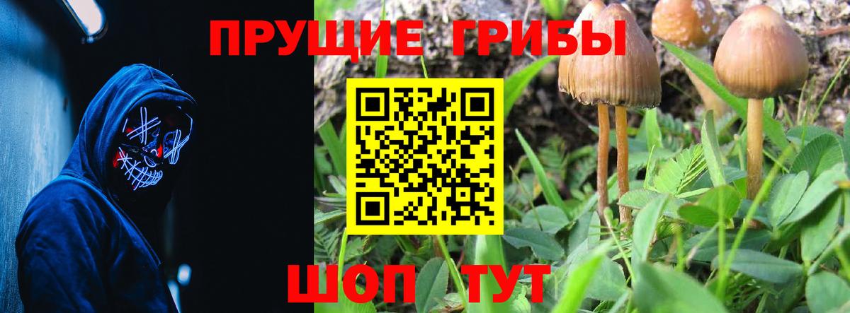 Галлюциногенные грибы мицелий Солнечногорск