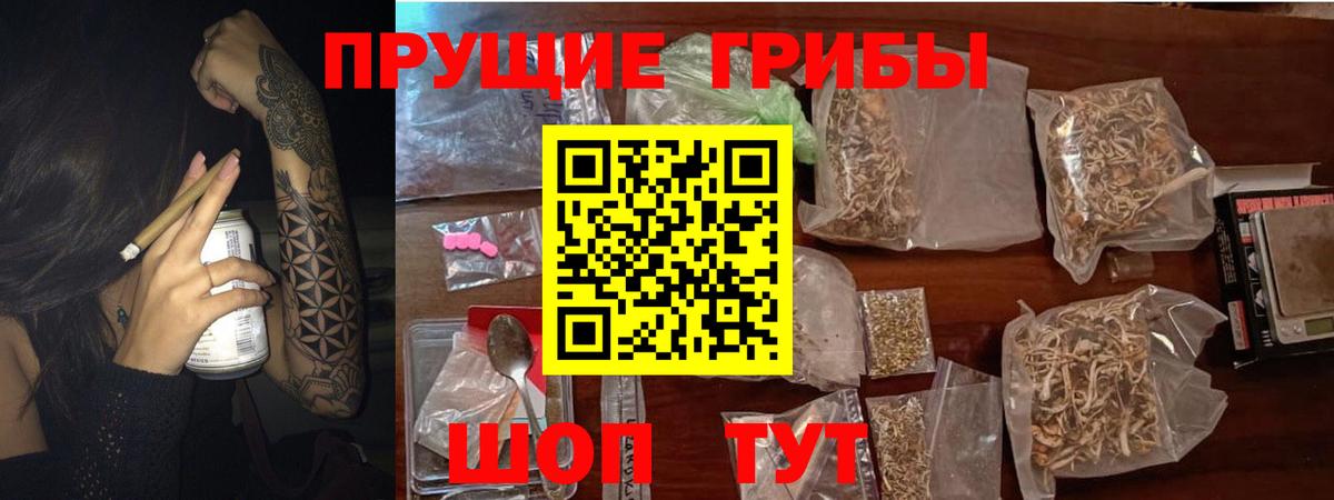 Псилоцибиновые грибы мицелий  Вход с VPN  Солнечногорск  Псилоцибиновые грибы Cubensis 